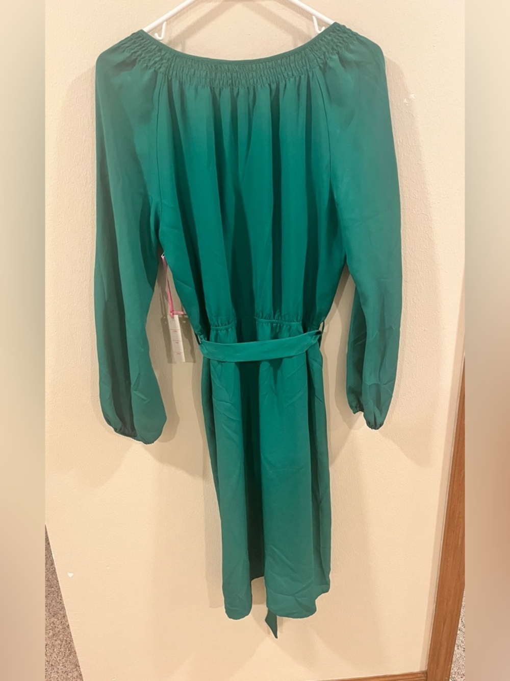 NWT Harper and Gray Green Smocked Button Front Midi Dress-Medium - Picture 3 of 10